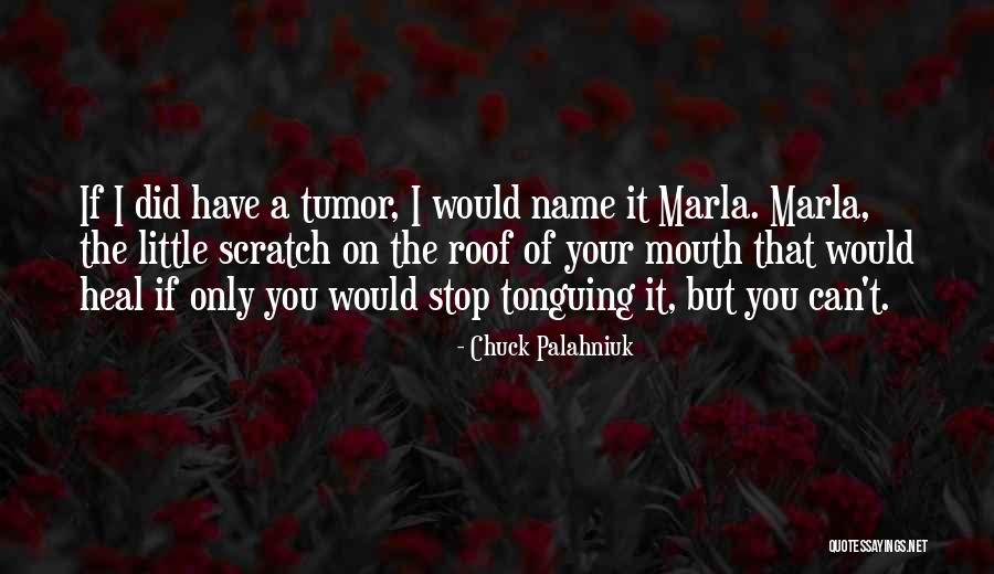 Disrupters Punk Quotes By Chuck Palahniuk Disrupters Punk Quotes By Chuck Palahniuk