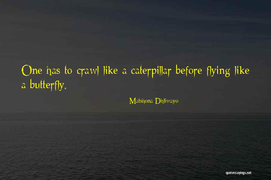 Dissatisfyingly Quotes By Matshona Dhliwayo Dissatisfyingly Quotes By Matshona Dhliwayo