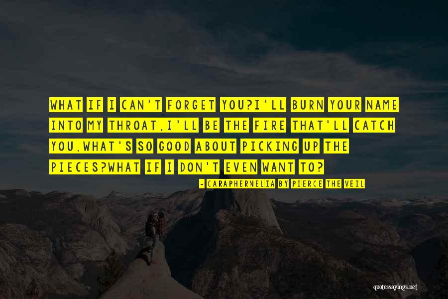 Disselboom Quotes By Caraphernelia By Pierce The Veil Disselboom Quotes By Caraphernelia By Pierce The Veil