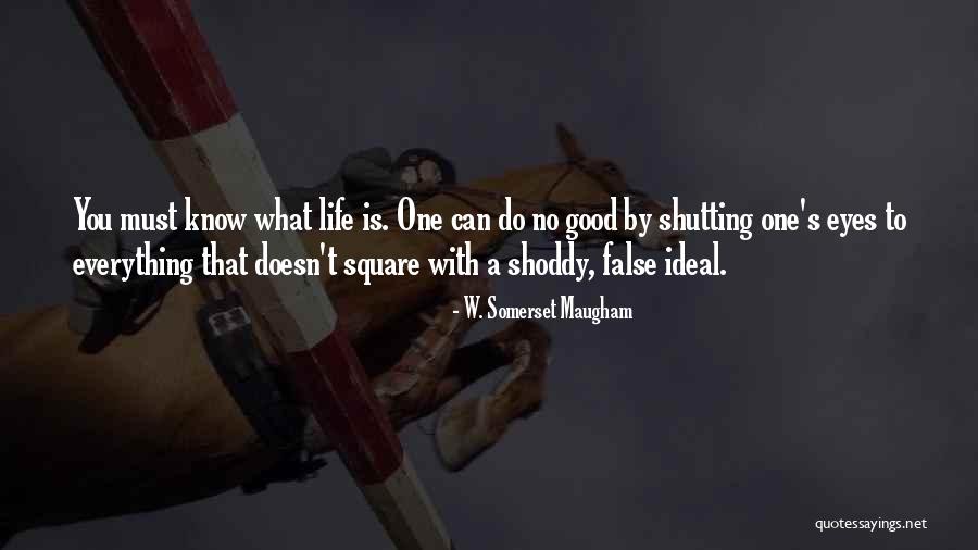 Dissociates Completely In Water Quotes By W. Somerset Maugham Dissociates Completely In Water Quotes By W. Somerset Maugham