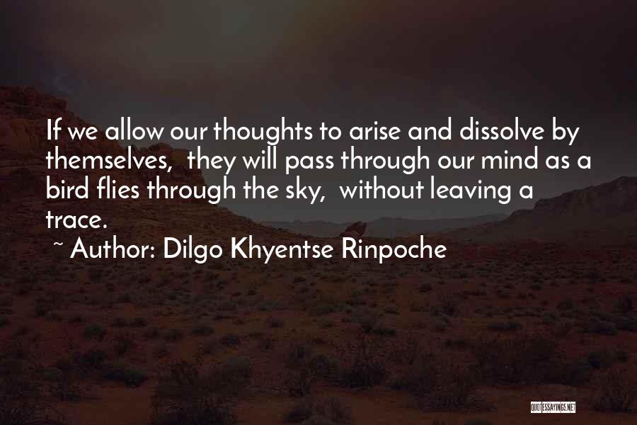 Dissolve Quotes By Dilgo Khyentse Rinpoche
