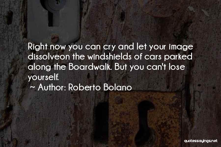 Dissolve Quotes By Roberto Bolano