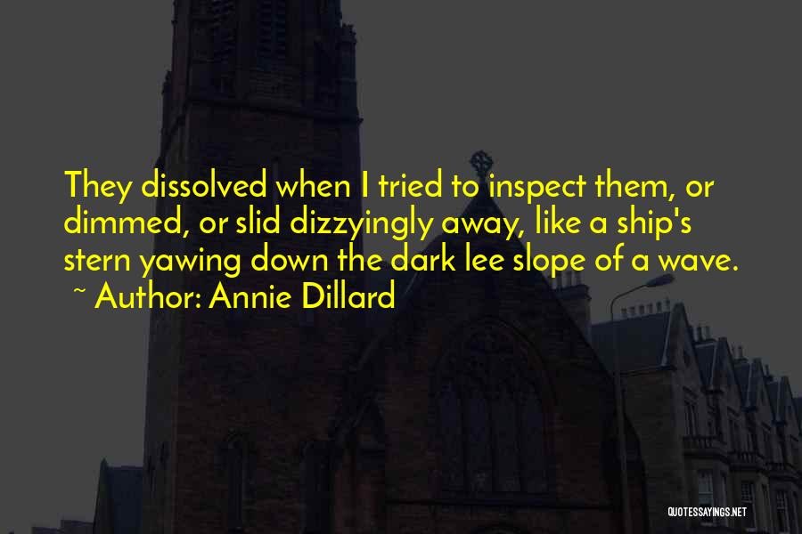 Dissolved Quotes By Annie Dillard