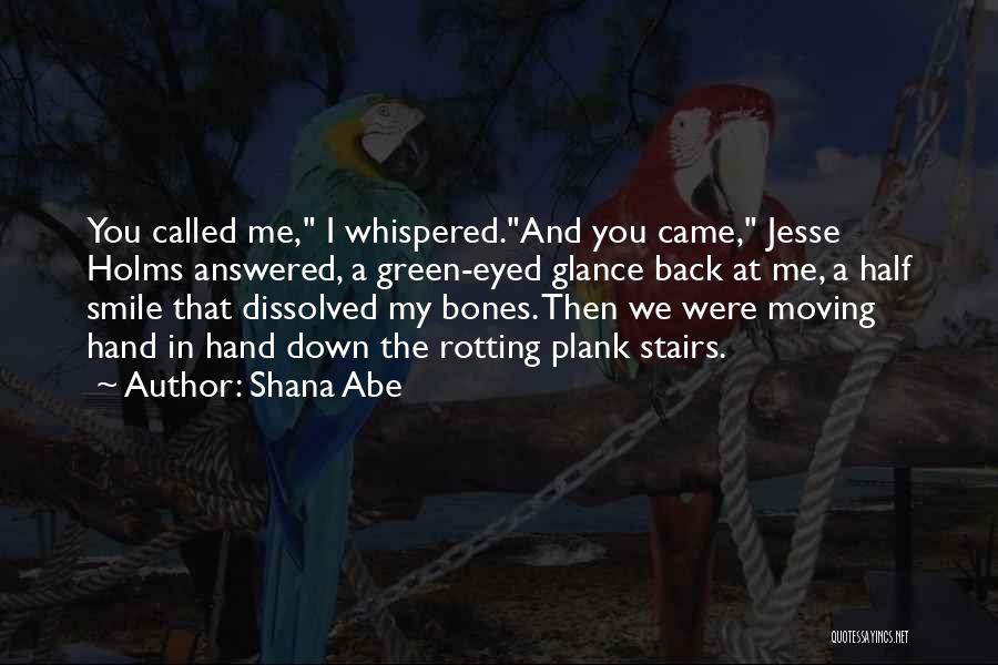 Dissolved Quotes By Shana Abe