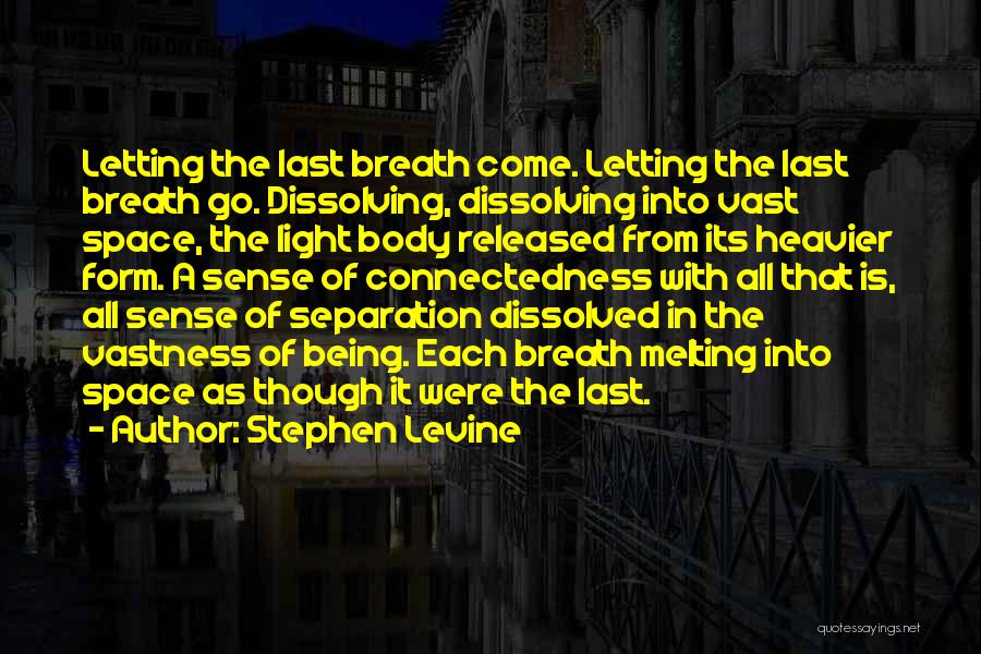 Dissolved Quotes By Stephen Levine