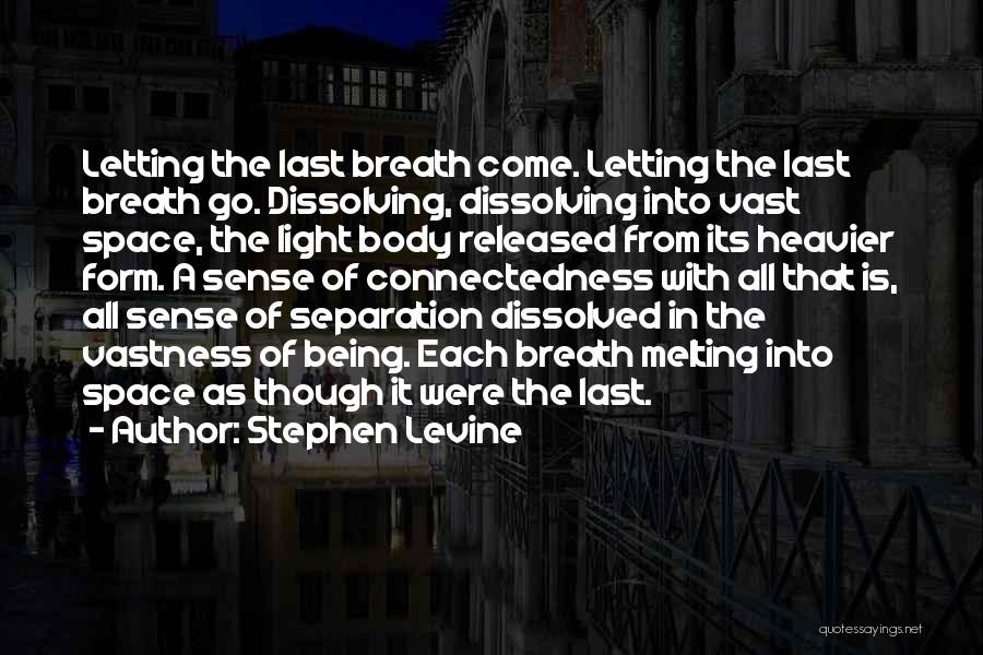 Dissolving Quotes By Stephen Levine