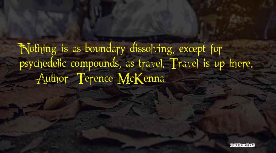 Dissolving Quotes By Terence McKenna
