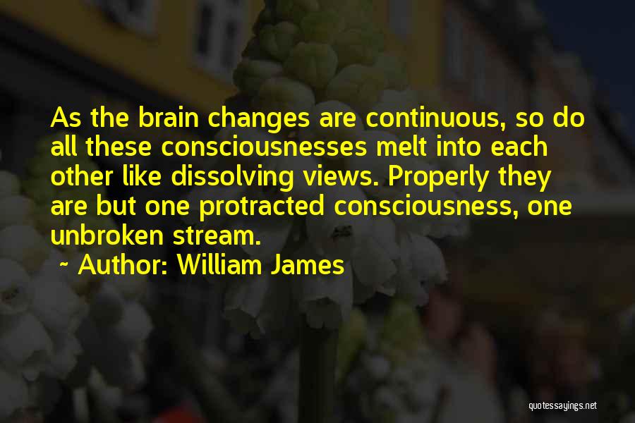 Dissolving Quotes By William James