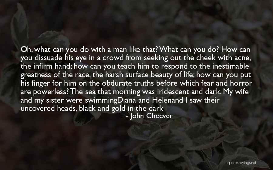 Dissuade Quotes By John Cheever Dissuade Quotes By John Cheever
