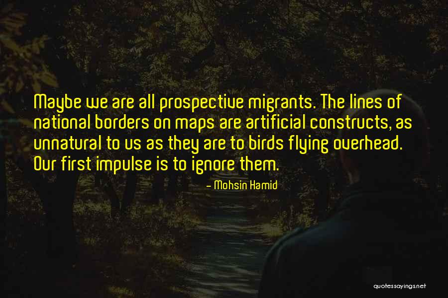 Dissuasion Significado Quotes By Mohsin Hamid Dissuasion Significado Quotes By Mohsin Hamid