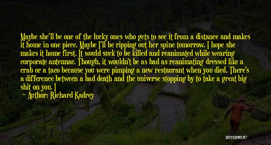 Distance And Death Quotes By Richard Kadrey