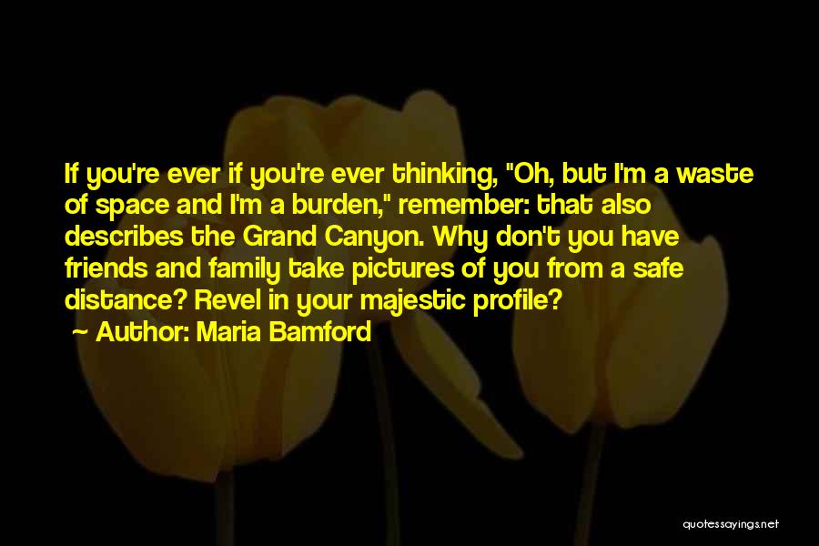 Distance And Family Quotes By Maria Bamford