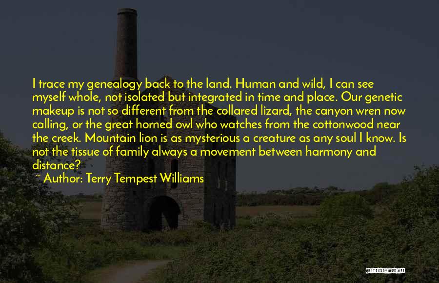 Distance And Family Quotes By Terry Tempest Williams