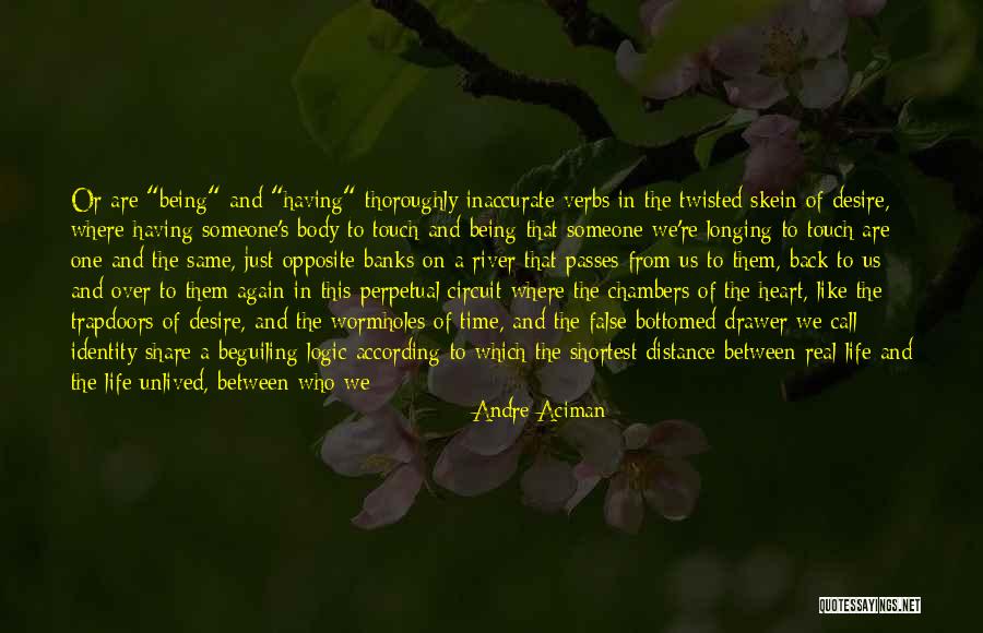 Distance And The Heart Quotes By Andre Aciman Distance And The Heart Quotes By Andre Aciman
