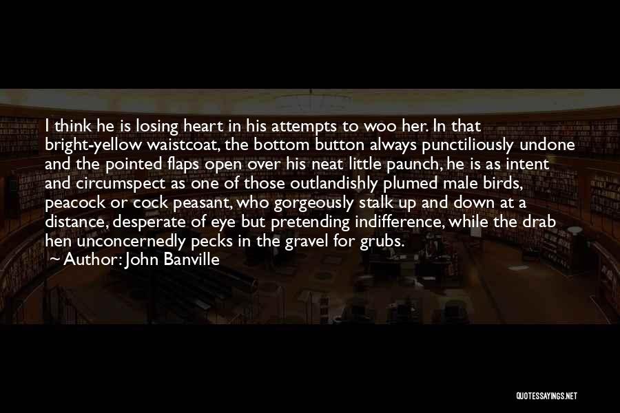 Distance And The Heart Quotes By John Banville