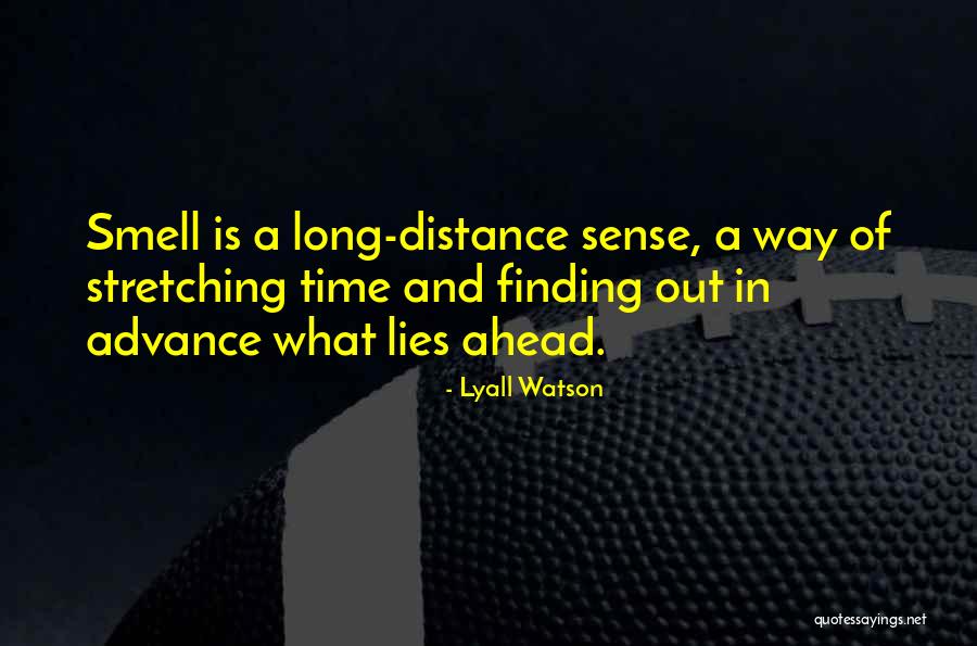 Distance And Time Quotes By Lyall Watson Distance And Time Quotes By Lyall Watson