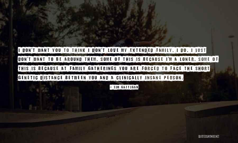 Distance Between Family Quotes By Jim Gaffigan