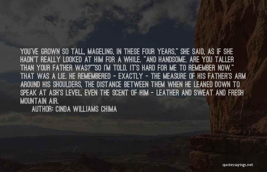 Distance Between You And Me Quotes By Cinda Williams Chima