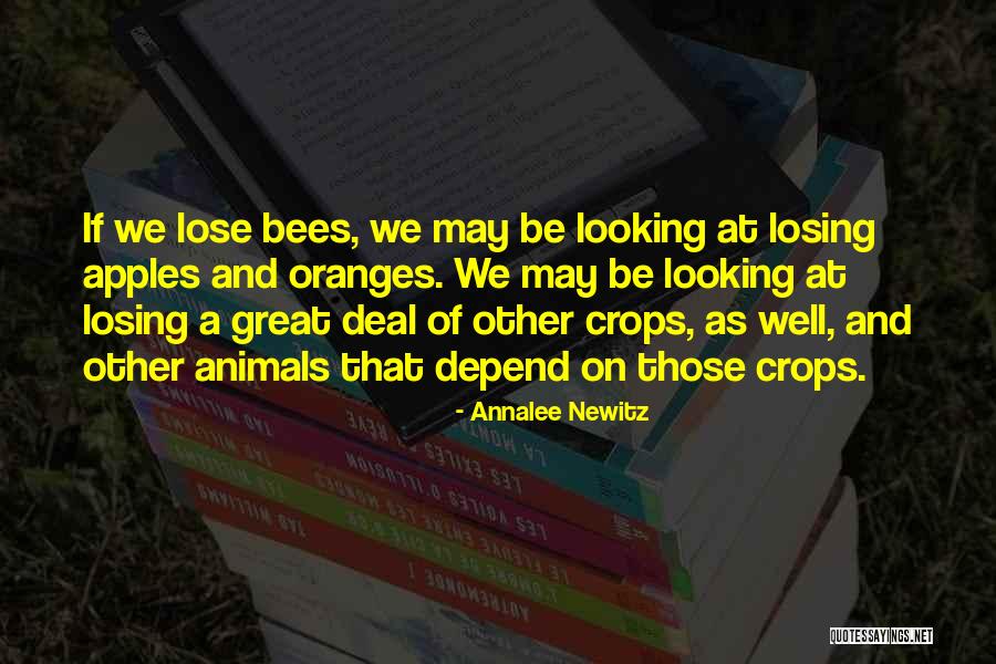 Distance Bracelets Quotes By Annalee Newitz Distance Bracelets Quotes By Annalee Newitz