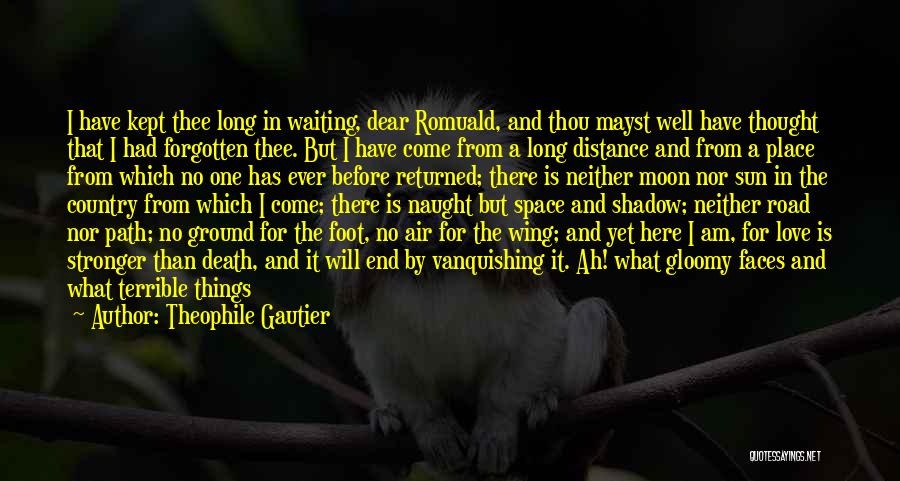 Distance Covered Quotes By Theophile Gautier