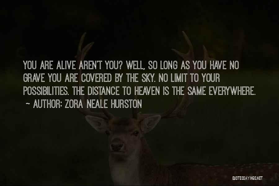 Distance Covered Quotes By Zora Neale Hurston