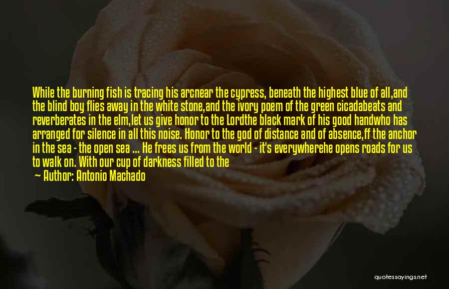 Distance Created Quotes By Antonio Machado