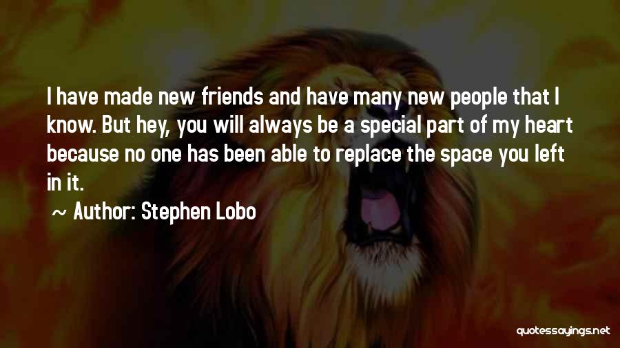 Distance Friends Quotes By Stephen Lobo