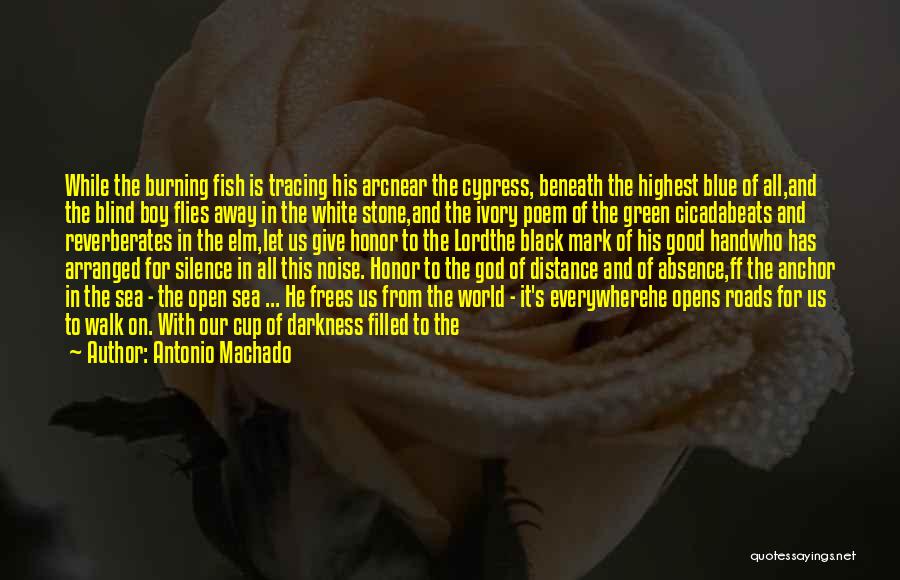 Distance From The Heart Quotes By Antonio Machado