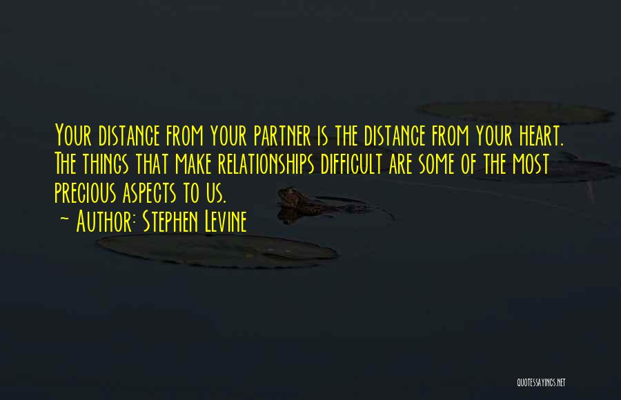 Distance From The Heart Quotes By Stephen Levine