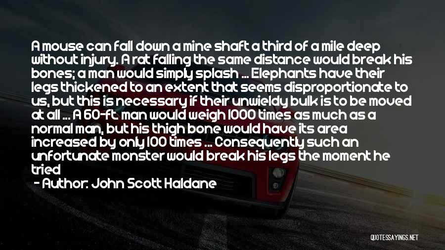 Distance Is Necessary Quotes By John Scott Haldane