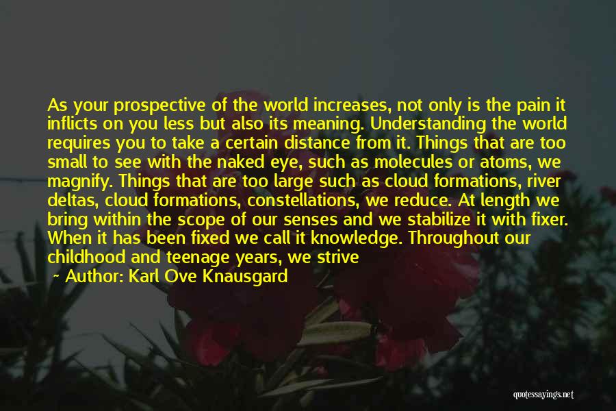 Distance Is Necessary Quotes By Karl Ove Knausgard