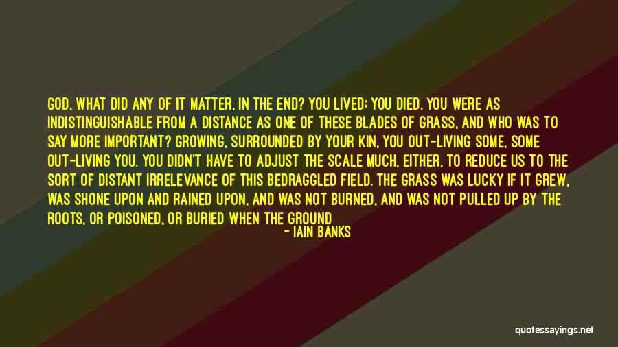 Distance Is Not Important Quotes By Iain Banks