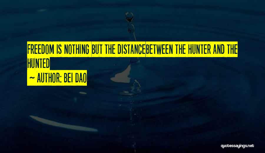 Distance Is Nothing Quotes By Bei Dao