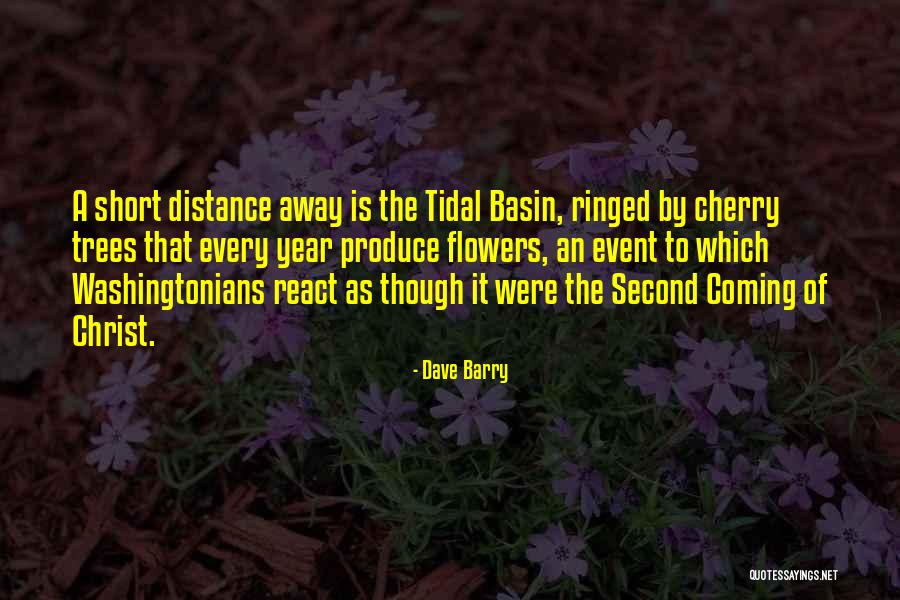 Distance That Christ Quotes By Dave Barry Distance That Christ Quotes By Dave Barry