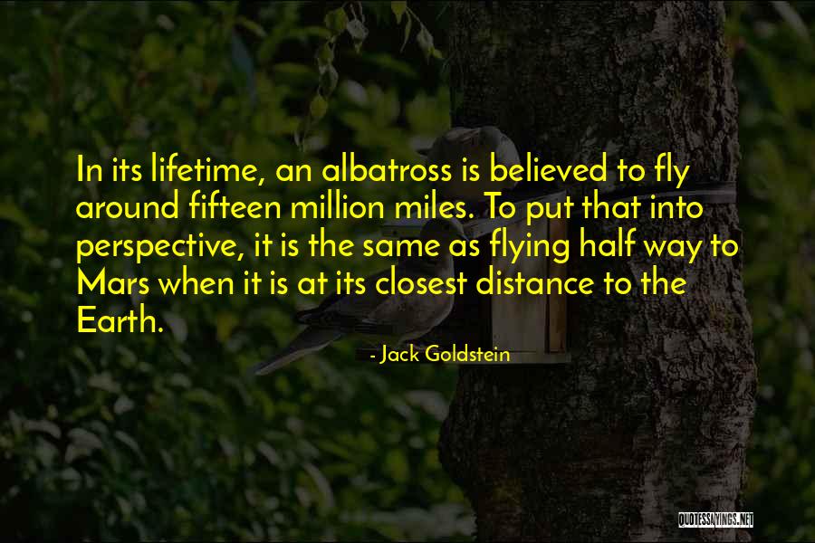 Distance The Way Quotes By Jack Goldstein Distance The Way Quotes By Jack Goldstein