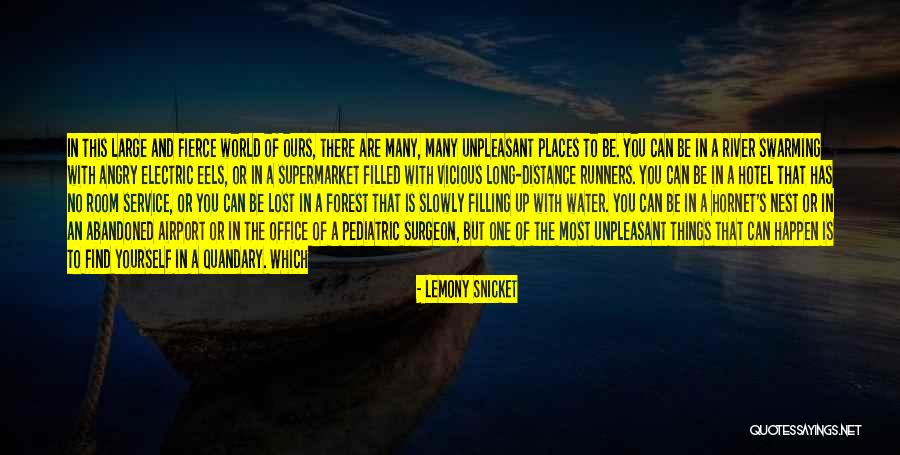 Distance Yourself Quotes By Lemony Snicket