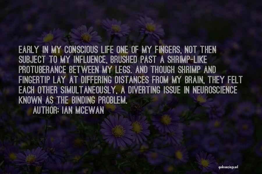 Distances Between Us Quotes By Ian McEwan