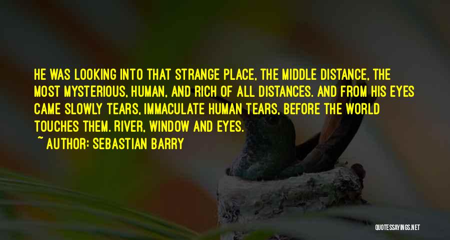 Distances Quotes By Sebastian Barry