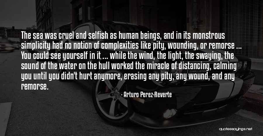 Distancing Quotes By Arturo Perez-Reverte Distancing Quotes By Arturo Perez-Reverte