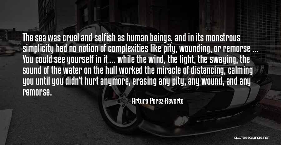 Distancing Quotes By Arturo Perez-Reverte