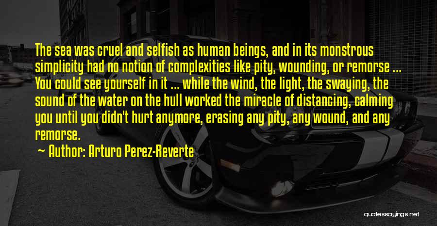 Distancing Self Quotes By Arturo Perez-Reverte