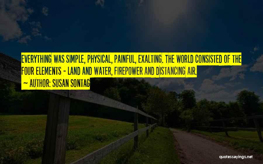 Distancing Yourself From Others Quotes By Susan Sontag