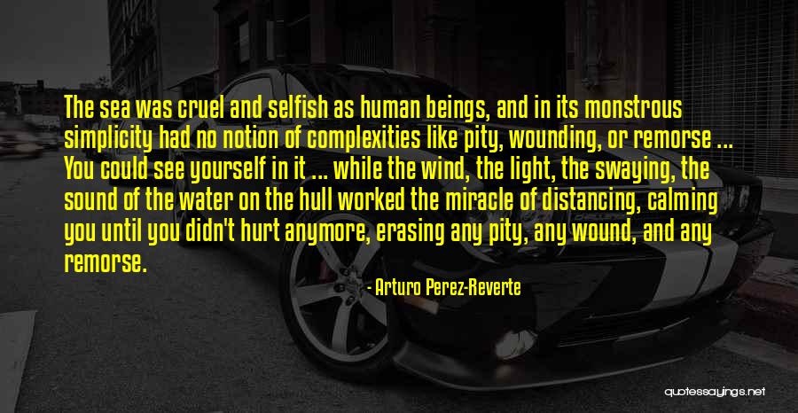Distancing Yourself Quotes By Arturo Perez-Reverte Distancing Yourself Quotes By Arturo Perez-Reverte
