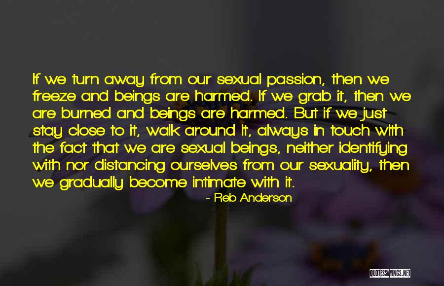 Distancing Yourself Quotes By Reb Anderson Distancing Yourself Quotes By Reb Anderson