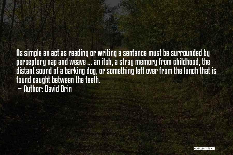 Distant Memory Quotes By David Brin