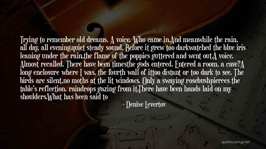 Distant Room Quotes By Denise Levertov Distant Room Quotes By Denise Levertov