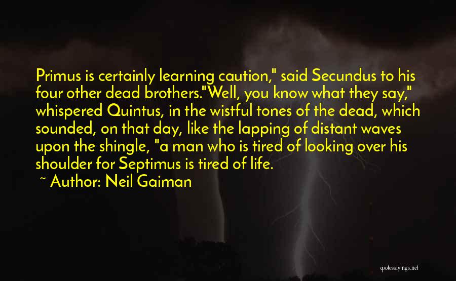Distant Waves Quotes By Neil Gaiman