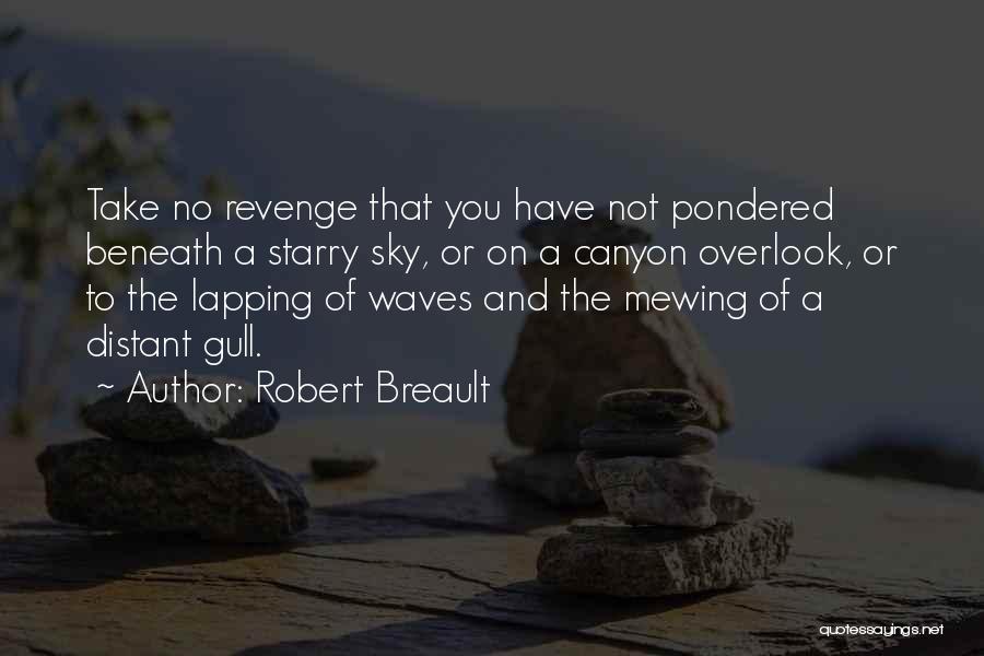 Distant Waves Quotes By Robert Breault