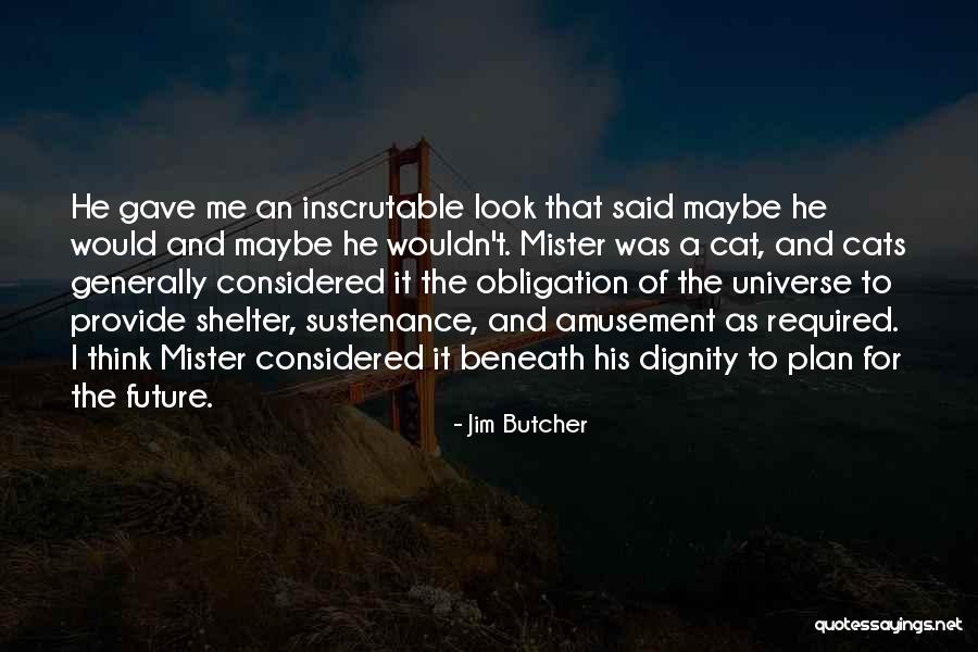 Distillate Dart Quotes By Jim Butcher Distillate Dart Quotes By Jim Butcher