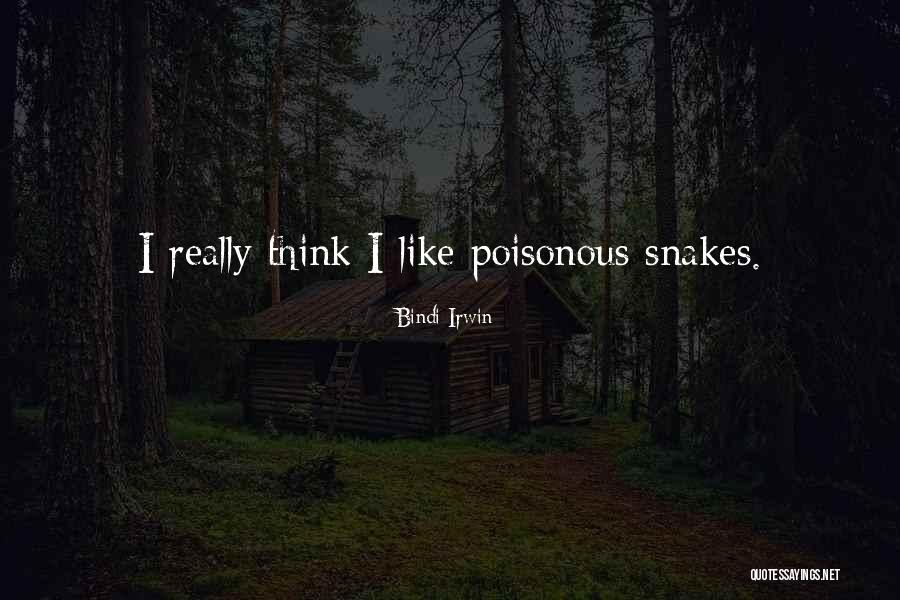 Distillery Quotes By Bindi Irwin Distillery Quotes By Bindi Irwin